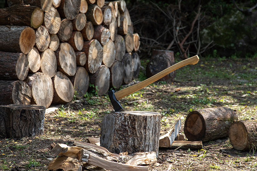 日本の伝統と西洋の息吹を併せ持つハマグリ刃による現代版薪割り斧