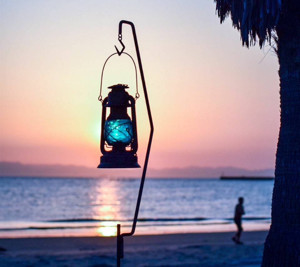 shockセット | ファイヤーサイド公式オンラインストア 